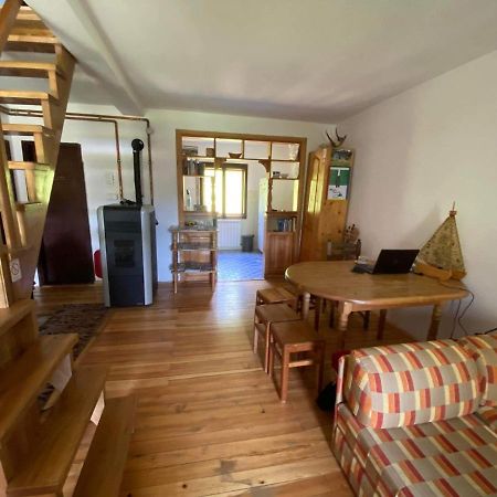 Mystic Forest Hostel Mitrovac Exterior foto